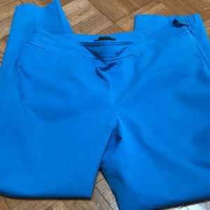 Talbots Chatham ankle pants